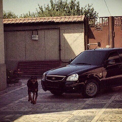 Кантемир Абазов, 07.07.1990