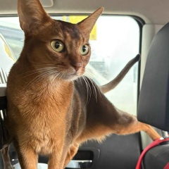 Дмитрий Аладинский, 18.08.1978, Санкт-Петербург