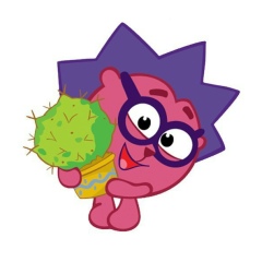 Фархат Хусаинов, Алматы