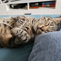 Александр Цветков, 13.07.1988, Санкт-Петербург