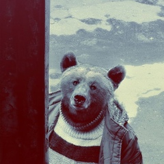 Андрей Тельнов, Санкт-Петербург