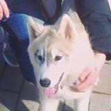 Алексей Зубов, 17.08, Санкт-Петербург