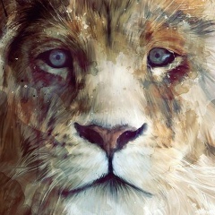 Саша Левыкин, 15.07.1987, Днепр (Днепропетровск)