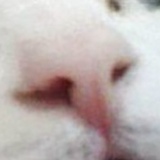 Георгий Симаков, 03.11, Санкт-Петербург