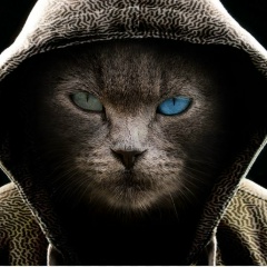 Станислав Попов, Рязань