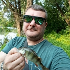 Илья Флёров, Коломна