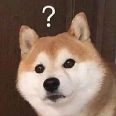 Linar Bakiyev, 12.09