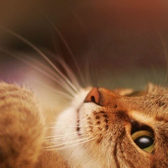 Вероника Сусанова, 06.05