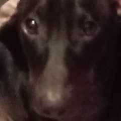 Максим Серый, 27.08.1990, Краснодар