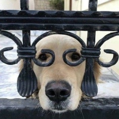 Оксана Бондарева, 13.04, Санкт-Петербург