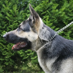 Настасья Павлова, 18.09, Санкт-Петербург