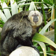 Владимир Вавилов, Барнаул