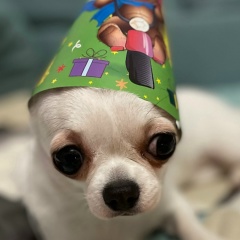 Екатерина Денежкина, 30.05, Калининград