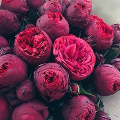 Гулим Канатбековна, 25.01.1993, Караганда