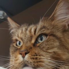 Ольга Морозова, 28.04.1982, Санкт-Петербург