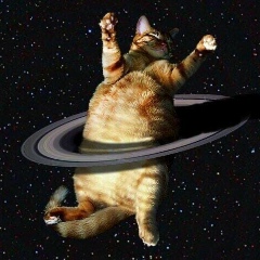 Наташа Стешенко, 07.07.1987, Москва