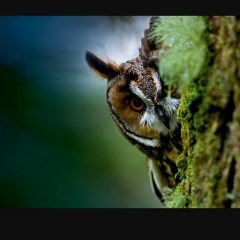 Наргиза Оспанова, 30.01, Караганда