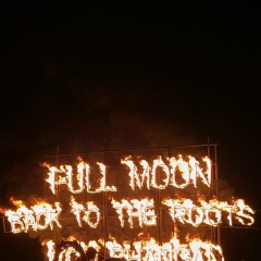 Малютка Волк, 13.03.1984