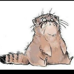 Илья Морозов, 11.12, Москва