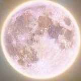 Тилек Саркулов, Алматы