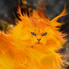 Виталик Матвеев, 11.10, Санкт-Петербург