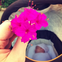 Милана М, 21.04.1992