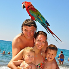 Николай Музалёв, 19.05.1979, Санкт-Петербург