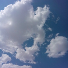 Nargiz Moldabayeva, 20.04.1984, Алматы