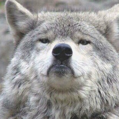 Халид Ахмадов, 21.09