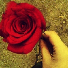 Нурик Макситов, 30.01, Самара