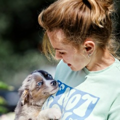 Наталья Шейнина, Москва