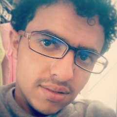 Mohammed Al-Maliki, Sanaa