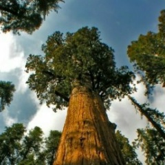 Иван Сергеев, 21.02