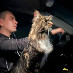 Дмитрий Лапиков, 27.05.1992, Москва