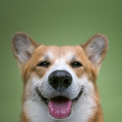 Ksenia Xenia, Санкт-Петербург