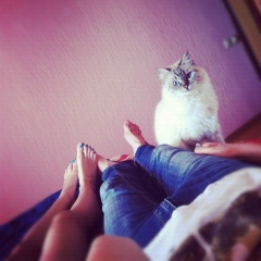 Женя Подвиг, 14.07, Киев