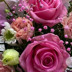 Елена Балтина, Санкт-Петербург