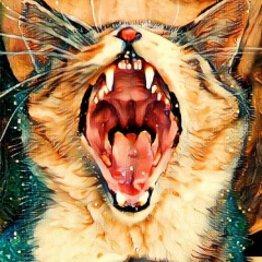 Алеся Александровна, 03.05.1989, Актау