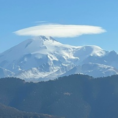 Ольга Мирошниченко, 24.07
