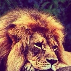 Зубаир Мурадбеков, 10.02, Дагестанские Огни