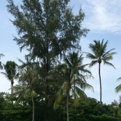 Анастасия Орлова, 25.04, Санкт-Петербург