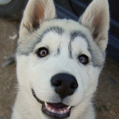 Руслан Кайроллов, 15.10, Астана