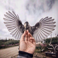 Ноер Разаков, 21.02.1970, Махачкала