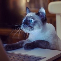 Наталья Рунова, 22.04, Санкт-Петербург