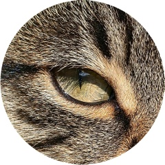 Роман Тырышкин, 07.04.1986, Сочи