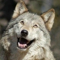 Богдан Гиренко, 04.09, Славянск