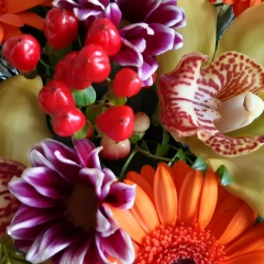 Lesya Lyskovskaya, Москва