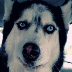 Виталий Виват, 29.12, Москва