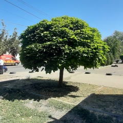 Миша Горячев, 24.12, Сочи