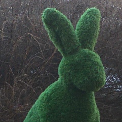 Мария Зайчикова, Санкт-Петербург